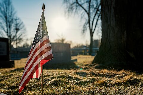 Veteran Spotlights for Memorial Day