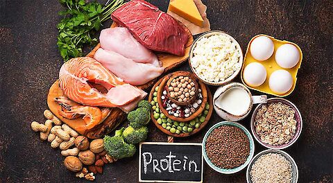 Are You Eating Enough Protein?