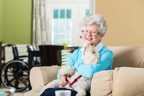 Preparing to Take Care of Your Pets in Old Age