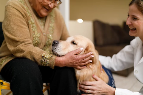 6 Best Pets for Your Senior Loved Ones