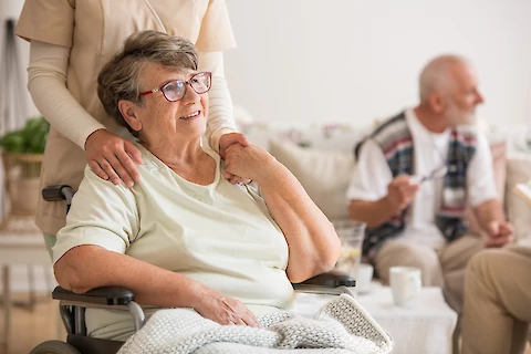 Roles of Geriatric Care Managers in Seniors' Care