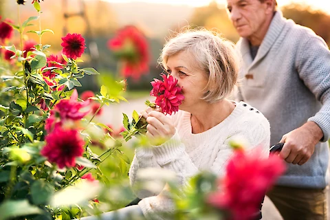 5 Ways to Renovate a Garden for Aging in Place and Senior Care