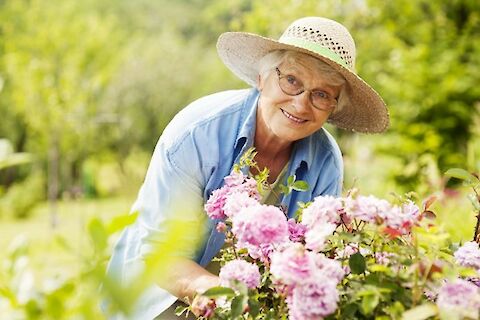 Ways to Renovate a Garden for Aging in Place and Senior Care