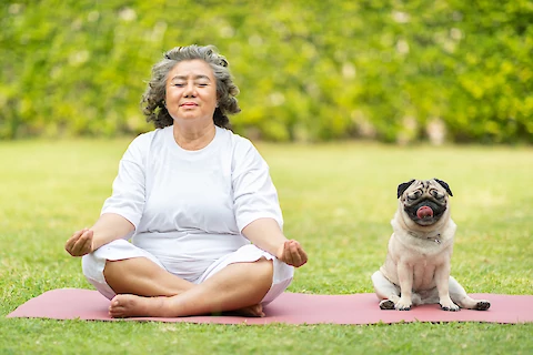 How Seniors Can Build a Fitness and Activity Routine With Their Dogs |Senior Helpers Frederick