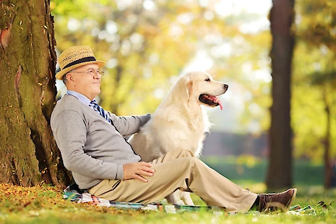 How Seniors Can Build a Fitness and Activity Routine With Their Dog