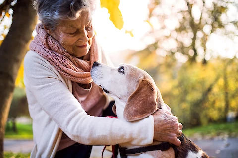 4 Things That Change as Senior Dogs Get Older