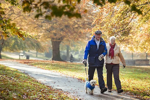 How Seniors Can Build a Fitness and Activity Routine With Their Dogs