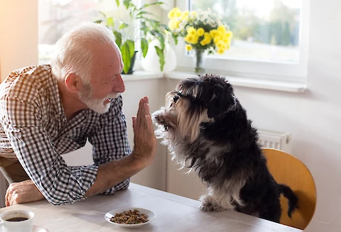 4 Mental and Emotional Benefits of Dogs for Seniors
