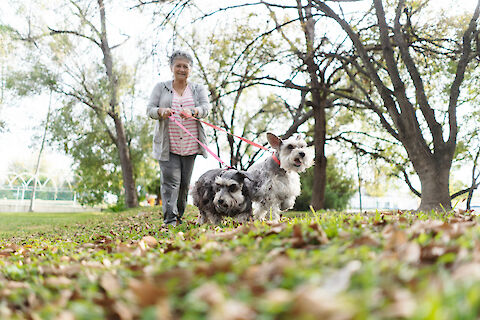 How Can Seniors Step Up Their Fitness Activity by Having a Dog?
