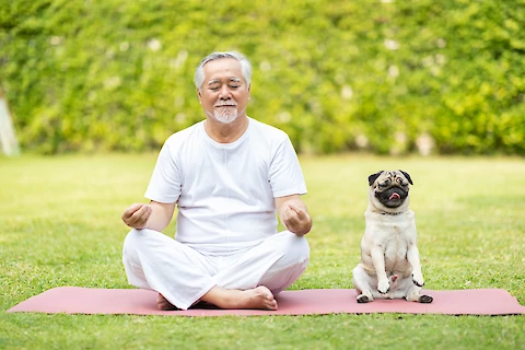 How Seniors Can Build a Fitness and Activity Routine With Their Dogs