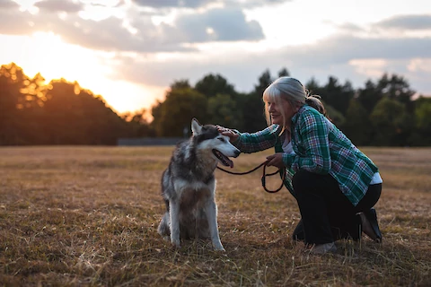 Aging Together: 6 Things That Change as Senior Dogs Get Older