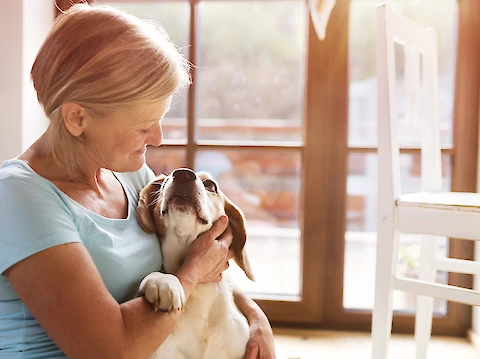 4 Mental and Emotional Benefits of Senior Dogs