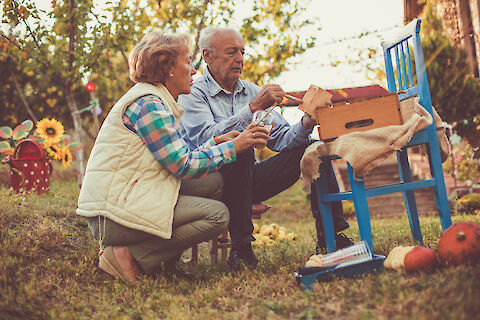 Top 8 Autumn Habits and Hobbies to Extend Senior Health Spans