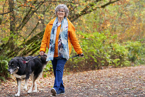 How Daily Walks Can Lower Blood Pressure
