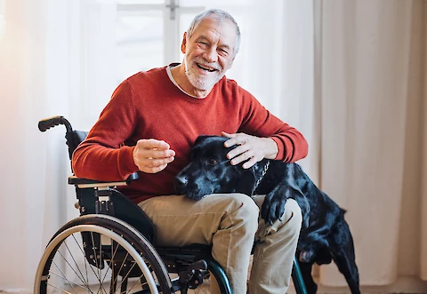 Home Wheelchair-Friendly: How to Make Your Home More Accessible for a Senior Relative in a Wheelchair