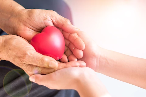 Heart Health FAQs: Taking Care of Your Most Vital Organ This February